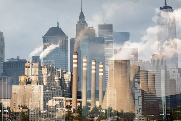Green Skills Shortage Threatens Sustainable Low Carbon Economy Ambitions