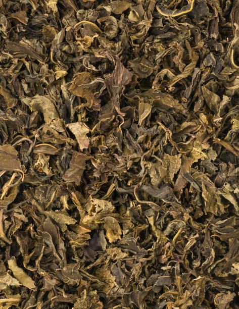 ‘Gasification’ of Waste Tea Powers Factories