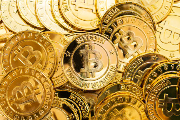 Bogus Bitcoin Boffin