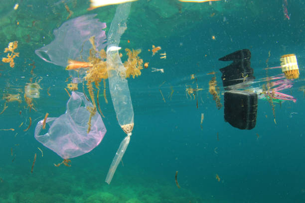 New Bioplastic Straw Degrades Faster Than Paper