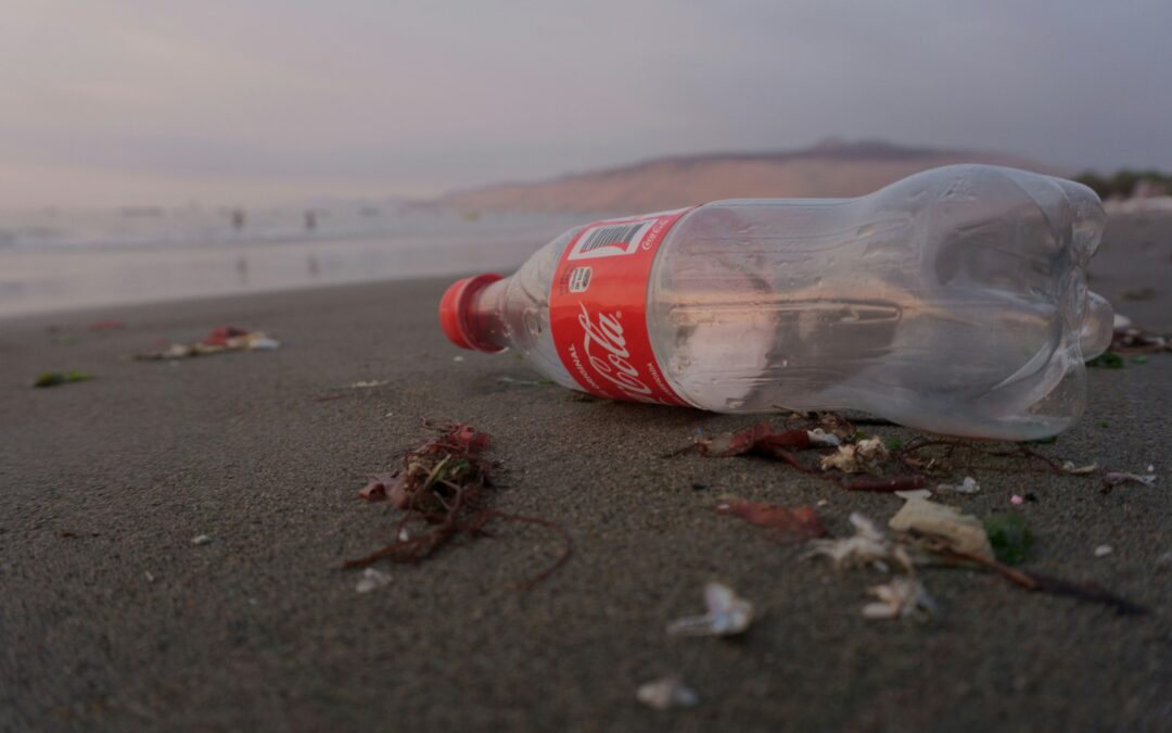 Students Trial Paid Recycling